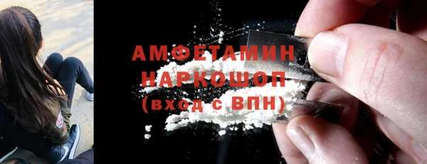 индика Медвежьегорск