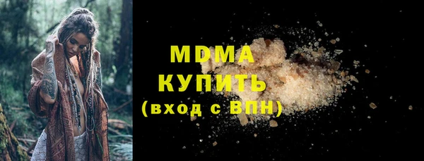 индика Медвежьегорск