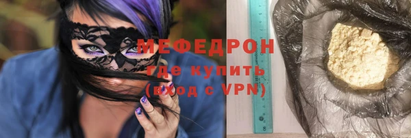 индика Медвежьегорск