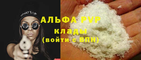 индика Медвежьегорск