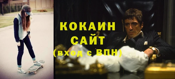 индика Медвежьегорск