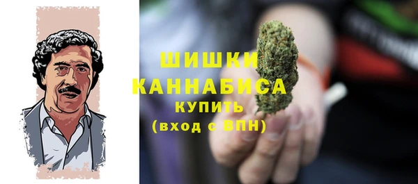 индика Медвежьегорск