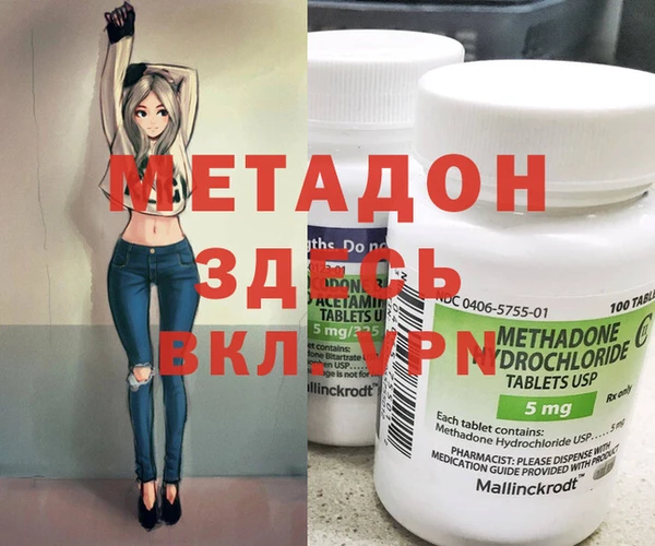 индика Медвежьегорск