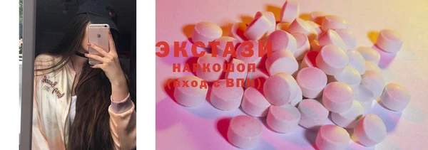 индика Медвежьегорск