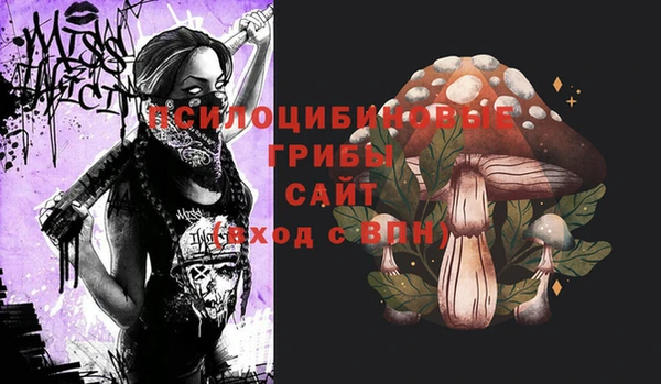 индика Медвежьегорск