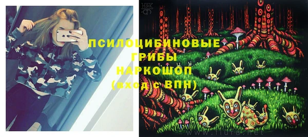 дурь Мегион