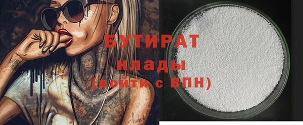 индика Медвежьегорск