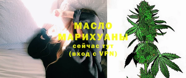индика Медвежьегорск