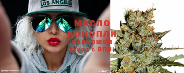 индика Медвежьегорск