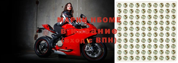 индика Медвежьегорск