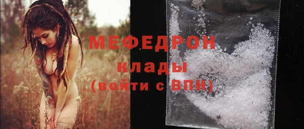 индика Медвежьегорск