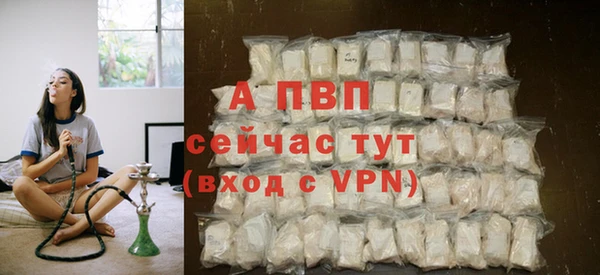 индика Медвежьегорск