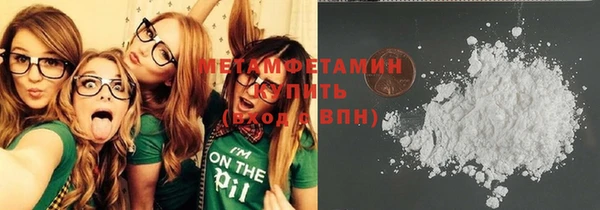 индика Медвежьегорск